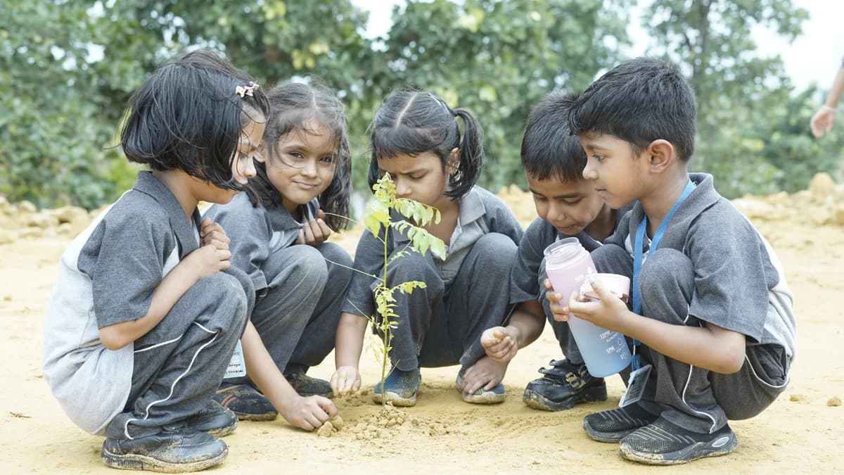 नन्हे हाथों ने रोपे हरियाली के सपने: लिटिल मिलेनियम प्री स्कूल के बच्चों ने वन महोत्सव पर दिया पर्यावरण संरक्षण का संदेश